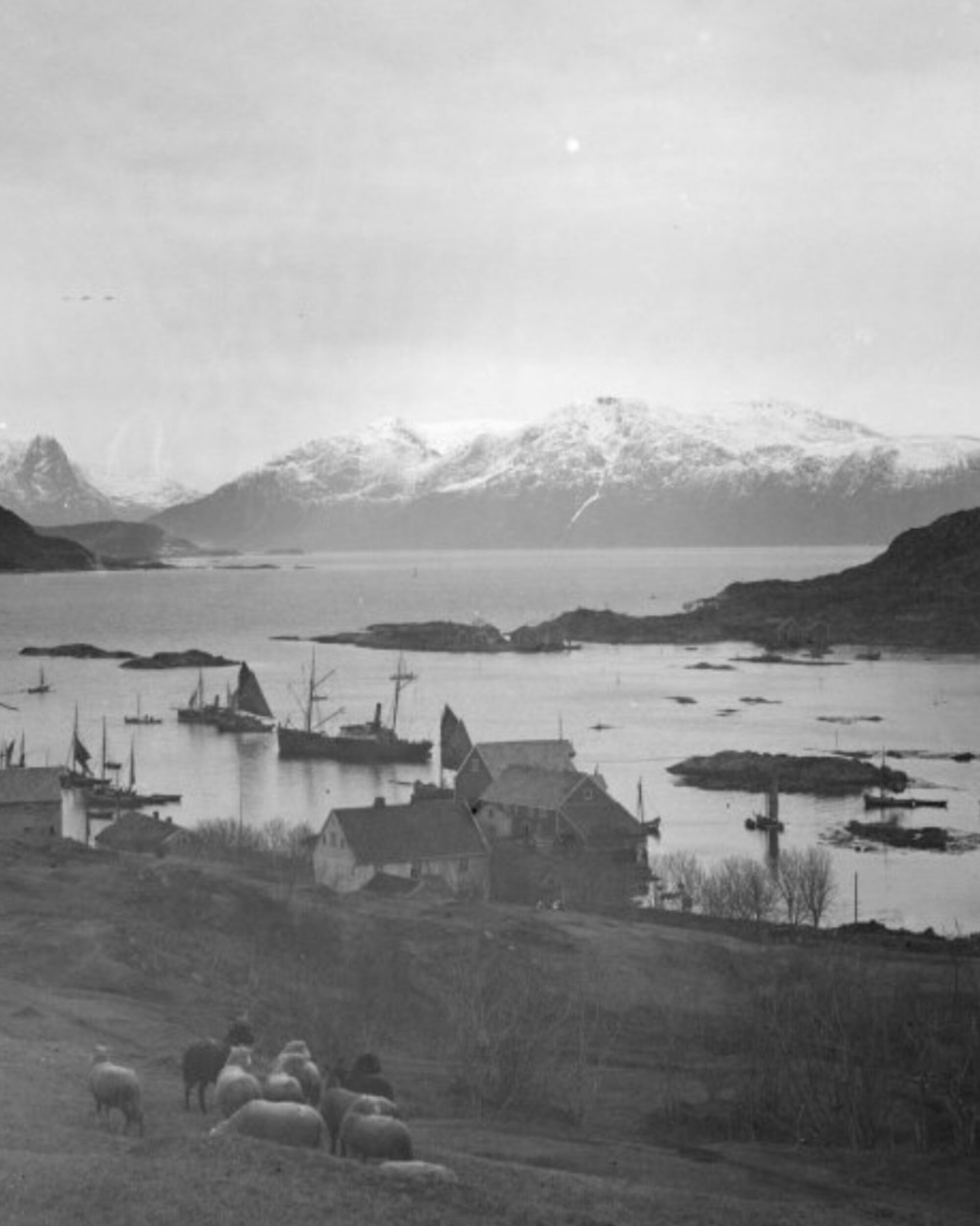 Bilde av About Rosenlund Hamn